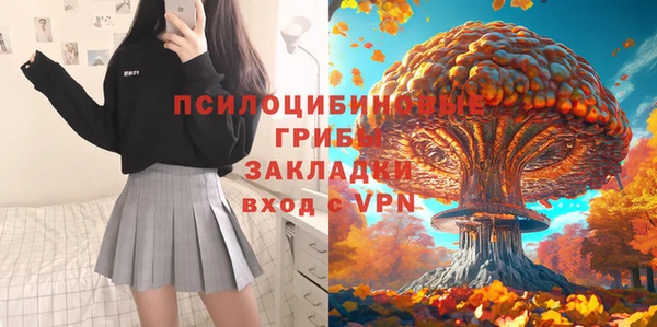 2c-b Нягань