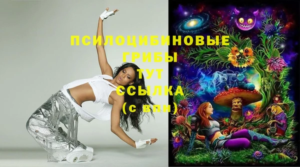прущий лед Няндома