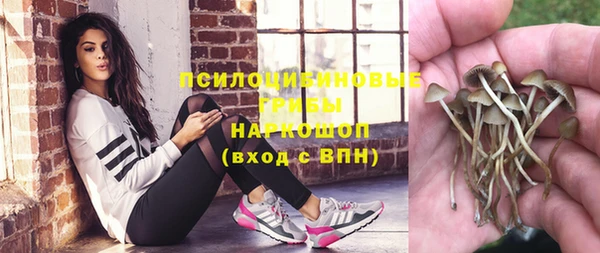 марки nbome Нязепетровск