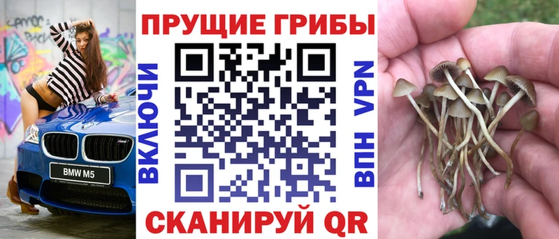 Псилоцибиновые грибы мухоморы  наркота  Лиски 