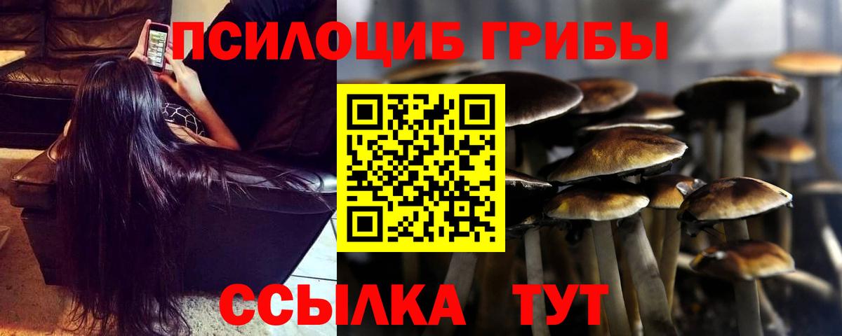 Галлюциногенные грибы Psilocybe Лиски