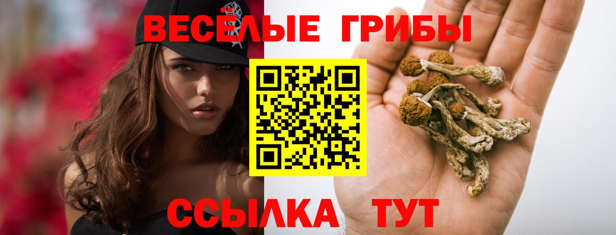 Галлюциногенные грибы Psilocybine cubensis  Вход с VPN  Лиски 